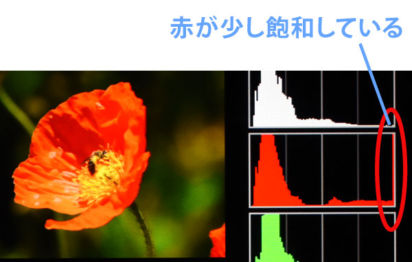 赤飽和のヒストグラム確認