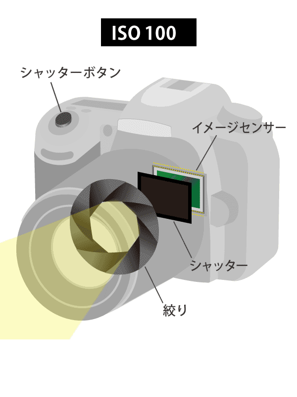 ISO感度とは?便利な使い方や目安の数値を解説 | テイラボ