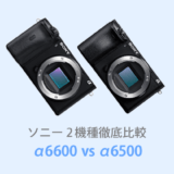 ソニーα6600とα6500を徹底比較【体験レビュー】