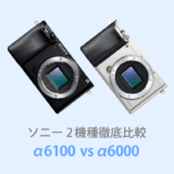 ソニーα6100とα6000を徹底比較【体験レビュー】