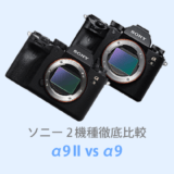 ソニーα9IIとα9を徹底比較【体験レビュー】