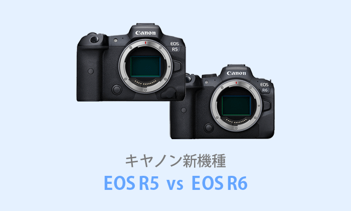 EOS R5 R6