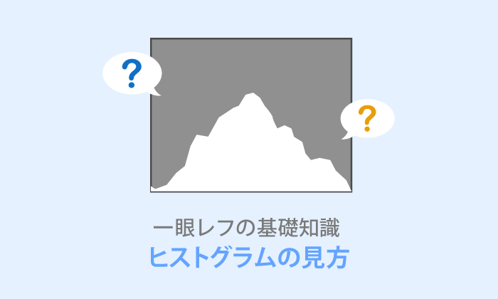 カメラのヒストグラムとは？グラフの見方と使用例