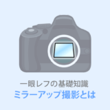 【ミラーアップ撮影とは？】写真の微ブレを防ぐ撮影方法