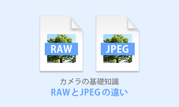 RAWとJPEGの違いイメージ