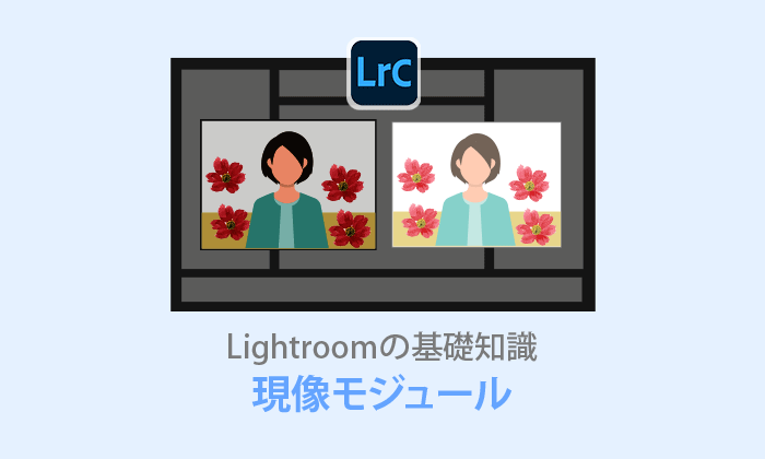 Lightroom Classic【現像モジュール解説】基本操作