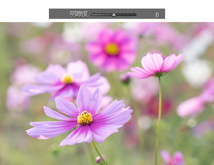 Lightroom Classic明瞭度マイナス