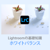 Lightroom Classicホワイトバランス