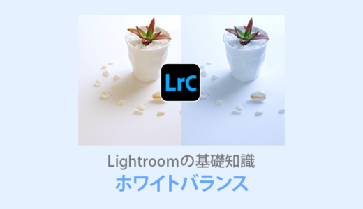 Lightroom Classic【ホワイトバランス】写真の色合いを決める重要な設定