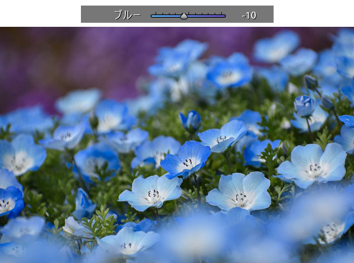 Lightroom ClassicHSLカラーパネル色相