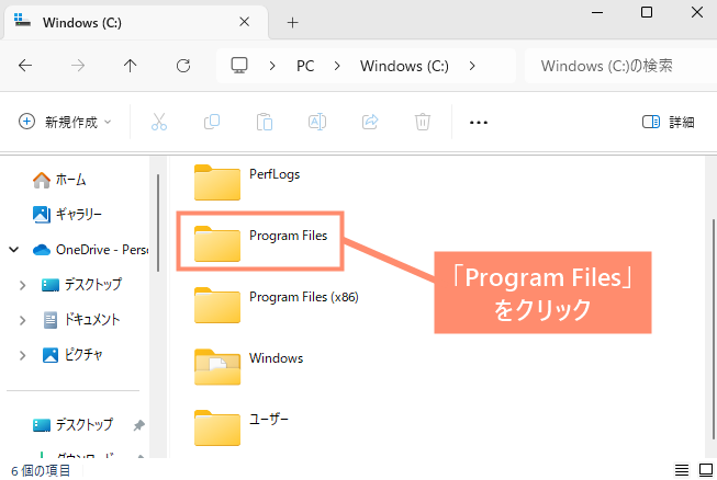 「Program Files」フォルダを開きます。