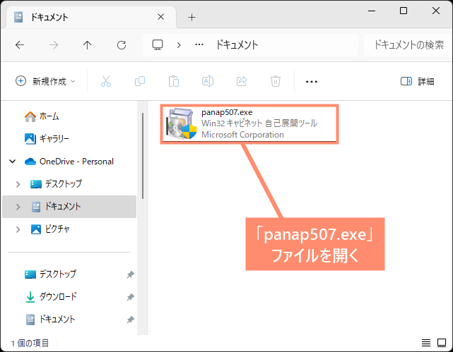 「panap507.exe」ファイルを開く