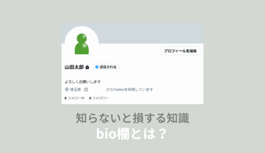 ツイッターのbio欄とは？読み方やかわいい文字の出し方を紹介！